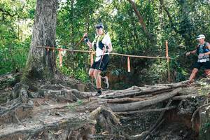 BIB: 
                            <button type="button" onclick="openModal(27744270)" class="btn btn-primary btn-sm float-right btn-popup" data-toggle="modal" data-target=".modal-high-quality">
                        <i class="fas fa-shopping-cart"></i> Add to Cart
                    </button>
                                            <button type="button" onclick="isThisMe(27744270, true)" class="btn btn-success btn-sm float-right btn-popup btn-isme hidden" data-toggle="tooltip" data-placement="bottom" title="นี่คือรูปของคุณใช่ไหม คลิกที่นี่เพื่อเอาเข้าอัลบั้ม">
                        <i class="fas fa-plus"></i> Add to album
                    </button>
                    <button type="button" onclick="isThisMe(27744270, false)" class="btn btn-warning btn-sm float-right btn-popup btn-isnotme hidden">
                        <i class="fas fa-ban"></i> Remove from album
                    </button>